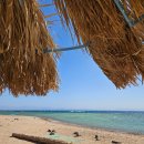 산호사우나 | 6~8일차 - 다이빙 성지 다합에서 다이빙 안하고 즐기기 / 스노쿨링 / 짭나이산 / 베두인 사우나