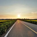 우강평야1로 이미지