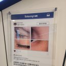 사마 헤어라인