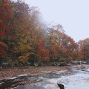 밀양 쇠점골-능동산.. 쇠점골 단풍... 이미지