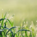 만나목장 이미지