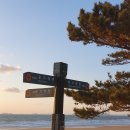 해송향기펜션 이미지