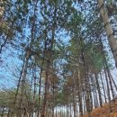 봉제산 오리나무쉼터 이미지