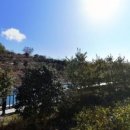 정량천 생태하천 이미지