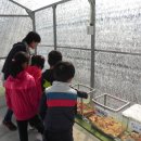 남성 초등학교 병설 유치원 이미지