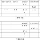 영어 한국어 자음 모음 비교 (송창헌의 영어발음교정 클리닉) 이미지