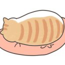 편하개 놀다가냥 이미지