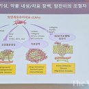 비엘바이오(주) 이미지