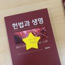 아앤지 | 빙글빙글 돌아가는 지나의 하루