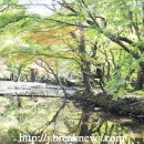 산따라 물따라 코스 이미지