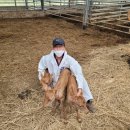 이순호농장 이미지