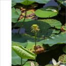 시립봉담도서관 이미지