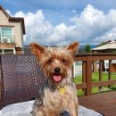 글램펜션(2) 이미지