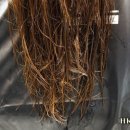 유소닉 네이버블로그