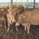 축협수퍼 이미지