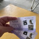 육림 | 🎡 춘천 육림랜드 방문 후기 &amp; 꿀팁 총정리