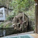 손씨집 | 부산 범어사 맛집 오리고기 손씨집 솔직후기 반려동물 동반 가능해요