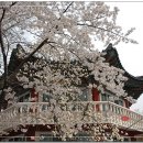 미주아파트경로당 이미지