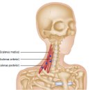 우리동네운동박사 이미지