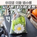 시그니처 엘피스 | 초파리 퇴치에 도움되는 계피스틱/데이지 해바라기 석고방향제
