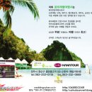 곰트래블여행사