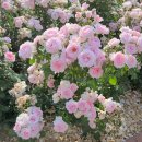 하람한의원 이미지