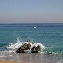 바다그리고길 이미지