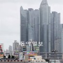 부산활어 이미지