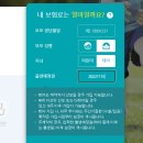 다모아라이프