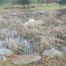 은여울공원 이미지