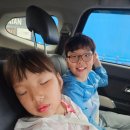카페해일 | 코타키나발루 아이와 가기좋은 반짝반짝 반딧불투어 코타백 까왕반딧불투어 내돈내산후기