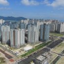 명지국제로 이미지