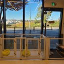 도그뷰티 이미지