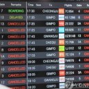 유채하우스 이미지