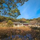 종오정 | [경주 숨은 명소] 고즈넉한 고택 '종오정' -11월의 파란 하늘과 솔직 방문 후기 (여름에 가야 하는 이유)