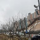 책정원도서관 | 광주 도서관 추천 동구구립도서관 책정원 방문후기