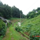 시청외곽 약수터 이미지