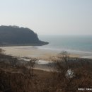 진모래해변 네이버블로그