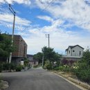 호영이네 하우스 이미지