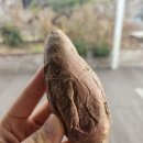 여주능서농원