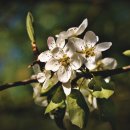 위더스요양병원 이미지