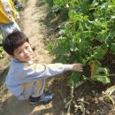 예진농장 이미지