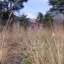 산막이옛길 하얀집 이미지