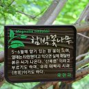 태백광택 네이버블로그
