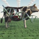 영각유전 이미지