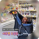 인천계양동물약국 | 인천 계양구 애견용품샵 찾는다면, 새로 오픈한 씨유펫 효성점 방문 후기