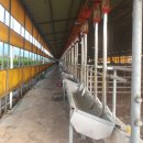 구시농장 이미지