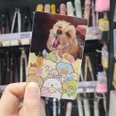 스미코구라시 팝업 [스미코구라시의 행복한 편의점] 후기