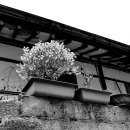 중앙로67번길 이미지