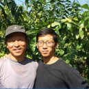 진명농원 이미지